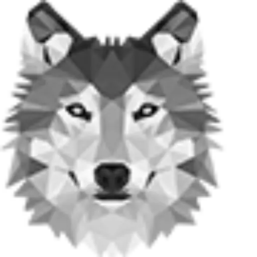 wethenorth darknet wethenorth market - about company